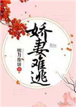 娇妻难做